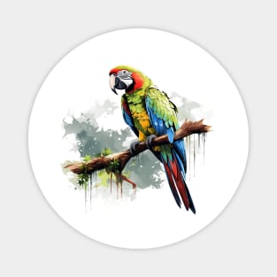 Military Macaw Magnet